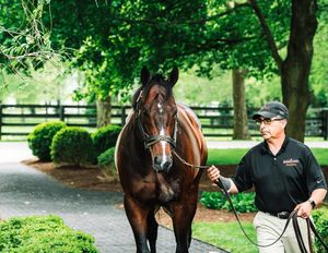 Image post by @spendthriftfarm on Instagram