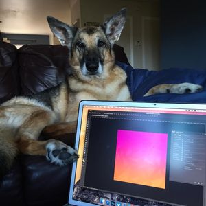 Image post by @rememberthe1 on Instagram