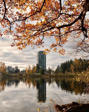 Image post by @tourismabbotsford on Instagram
