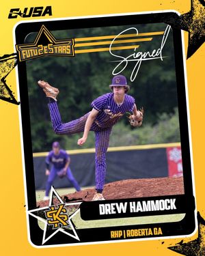 Image post by @ksuowlsbaseball on Instagram