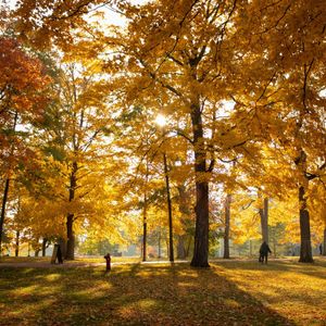 Image post by @stolafcollege on Instagram