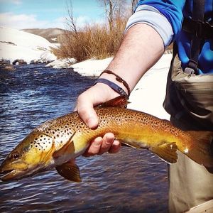 Image post by @granbyranch on Instagram