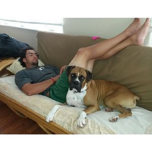 Image post by @thereal_smoothieking on Instagram