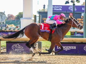 Image post by @breederscup on Instagram