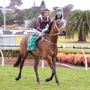 Image post by @australianturfclub on Instagram