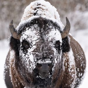 Image post by @discovery on Instagram