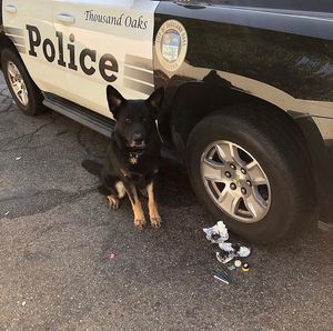 Image post by @vcsheriff on Instagram