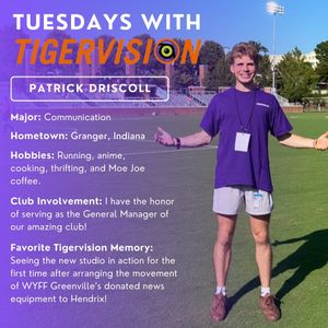 Image post by @cutigervision on Instagram