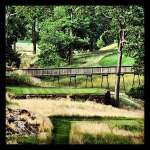 Image post by @mga1897 on Instagram