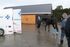 Image post by @NZHorseAmbulanceTrust on Facebook