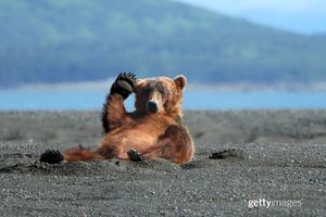 Image post by @gettyimages on Instagram