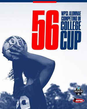 Image post by @wpsl on Instagram