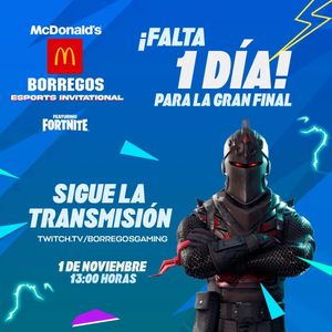 Image post by @borregosgaming on Instagram