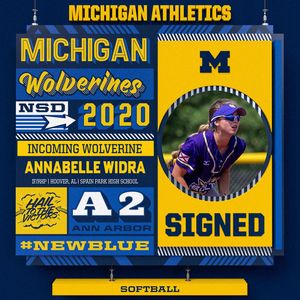 Image post by @umichsoftball on Instagram