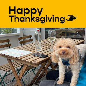 Image post by @jetsetpets on Instagram