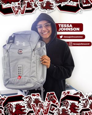 Image post by @gamecockwbb on Instagram