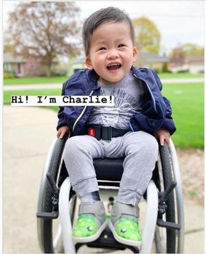 Image post by @reevefoundation on Instagram