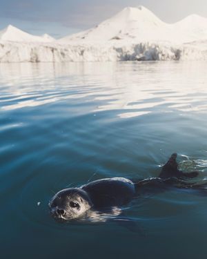 Image post by @discovery on Instagram
