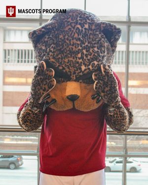 Image post by @iuijazzyandjawz on Instagram