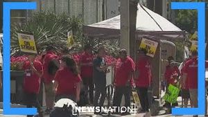 Video post by @newsnation on YouTube