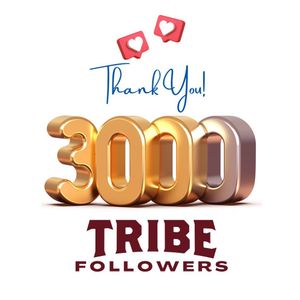 Image post by @mytribevolleyball on Instagram
