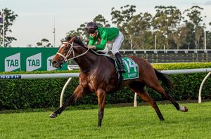 Image post by @australianturfclub on Instagram