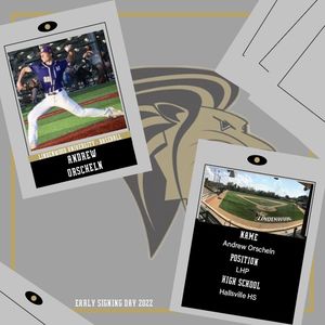 Image post by @lindenwoodbaseball on Instagram