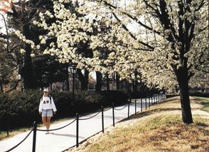 Image post by @udelaware on Instagram