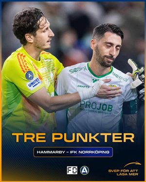 Image post by @fotbolldirekt on Instagram