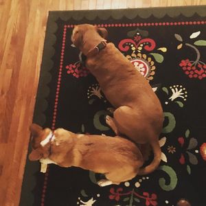 Image post by @annabellescurse on Instagram