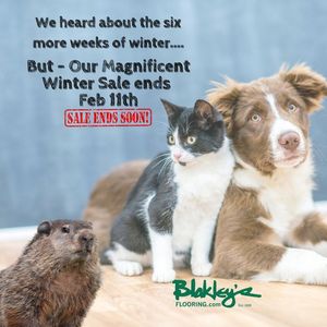 Image post by @BlakleysFlooring on Facebook