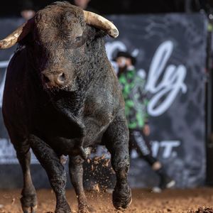 Image post by @bullfightersonly on Instagram