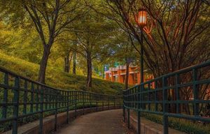 Image post by @unccharlotte on Instagram