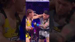 Video post by @pflmma on YouTube