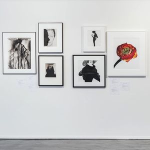 Image post by @phillipsauction on Instagram