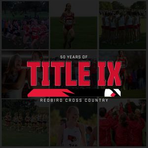 Image post by @isuredbirds on Instagram