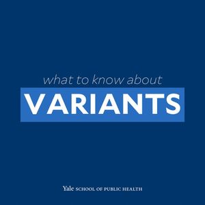 Image post by @yalesph on Instagram