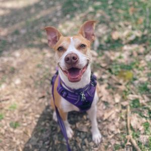 Image post by @leadsportsco on Instagram