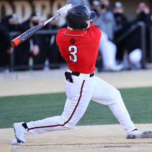 Image post by @gonubaseball on Instagram
