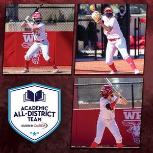 Image post by @wpiathletics on Instagram