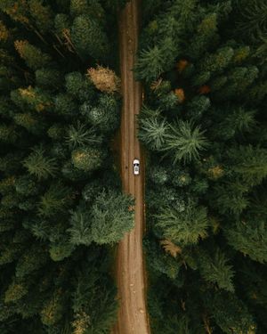 Image post by @unsplash on Instagram