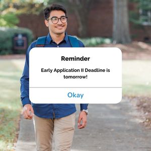 Image post by @mercernow on Instagram