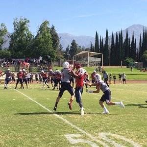 Image post by @usnft on Instagram