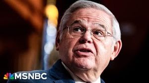 Video post by @msnbc on YouTube