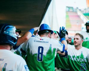 Image post by @hartfordyardgoats on Instagram