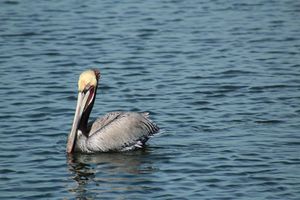 Image post by @djs_photo_lens on Instagram