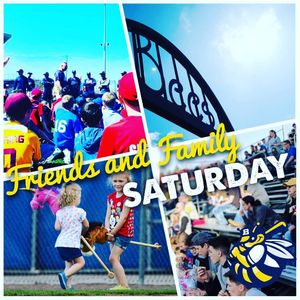 Image post by @burlington_bees on Instagram