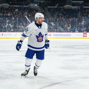 Image post by @torontomarlies on Instagram