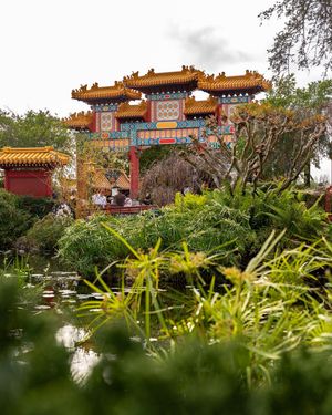 Image post by @williamalxnder on Instagram