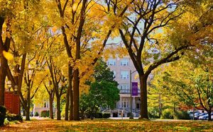 Image post by @olivetnazarene on Instagram